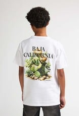 Petrol Petrol Boys T-shirt TSR654 Bright White S62