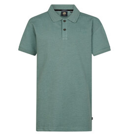 Petrol Petrol Boys Polo POL913 Oil Green S62