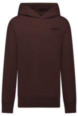 Cars Cars Tylo Hoody Brown  W62