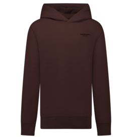 Cars Cars Tylo Hoody Brown  W62