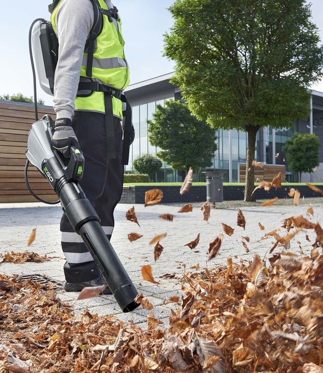 LBX6000-professionele accubladblazer