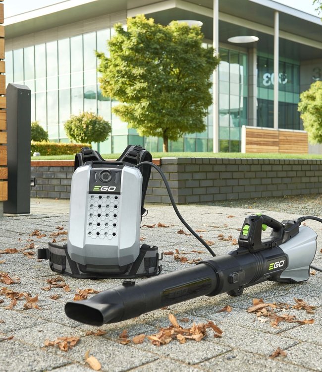 LBX6000-professionele accubladblazer