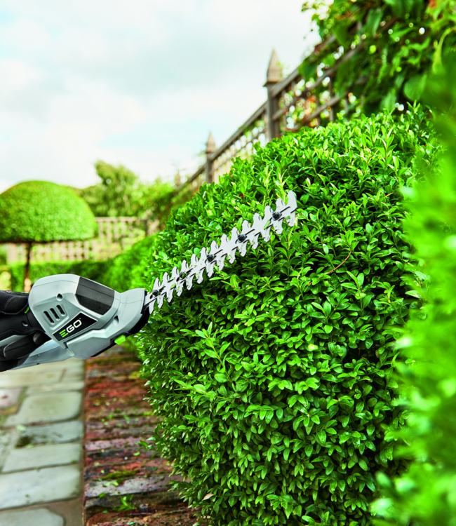 CHT2001E 12V buxes / grasschaar