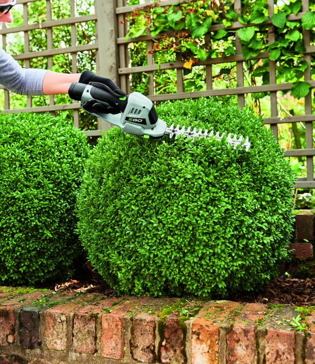 CHT2001E 12V buxes / grasschaar