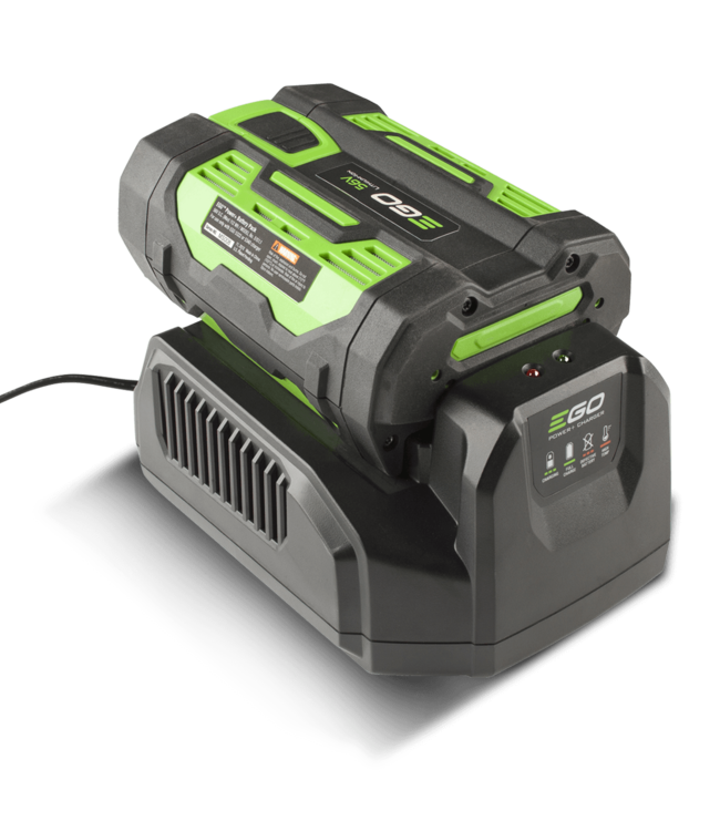 CH2100E standaardlader