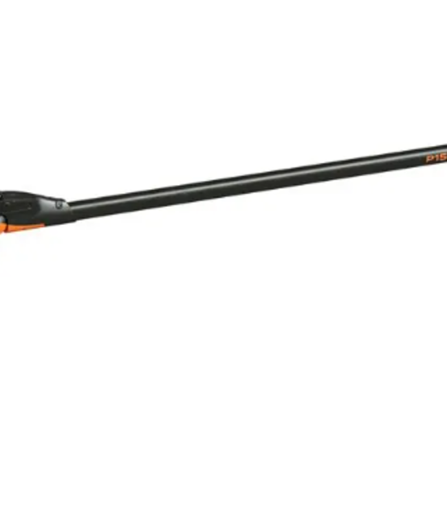 Pellenc Paal Prunion P150