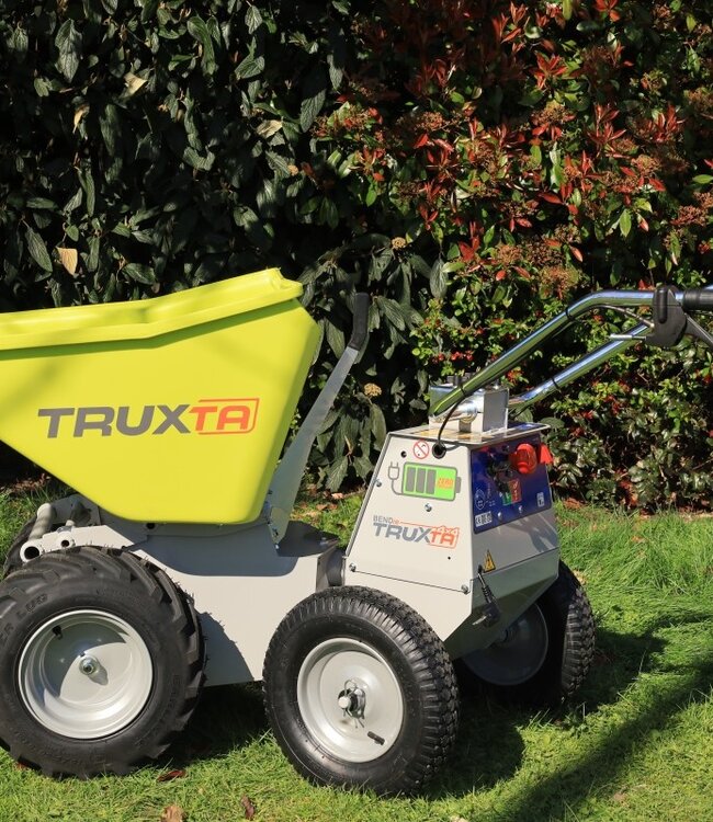 EB300P mini-dumper, 4x2