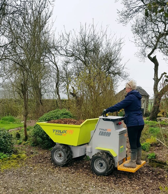 Truxta EB800PT 800kg 4x4  mini dumper