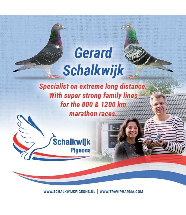 Travipharma Pigeon brochure 2020