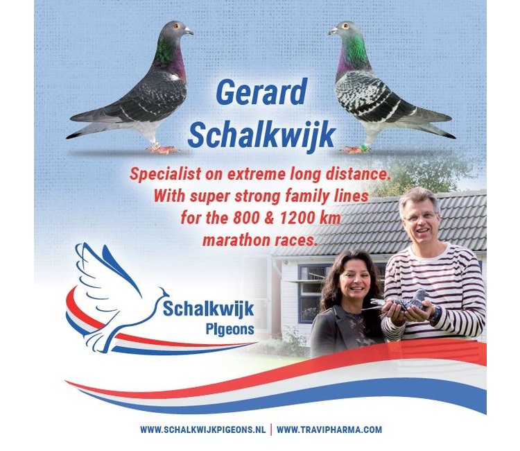 Pigeon brochure 2020 - Veterinary medicines, health products and ...