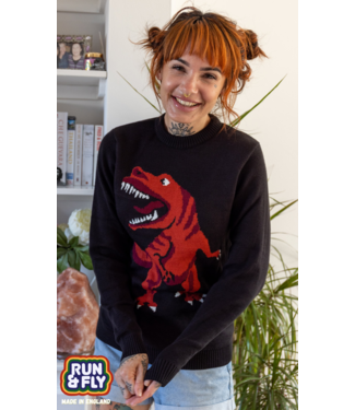 Dino jumper size XS