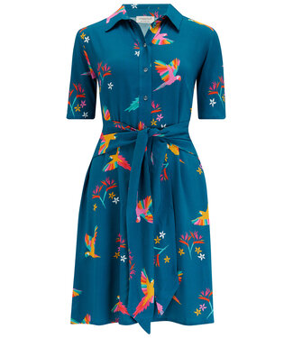 Sugarhill Brighton Dessie dress - Rainbow parrots