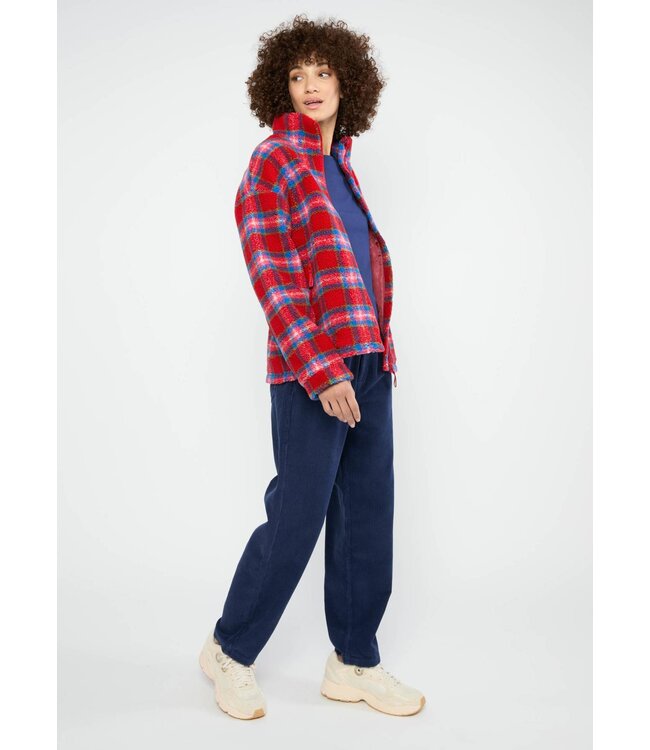 Arctic Leisure - Tartan Teddy