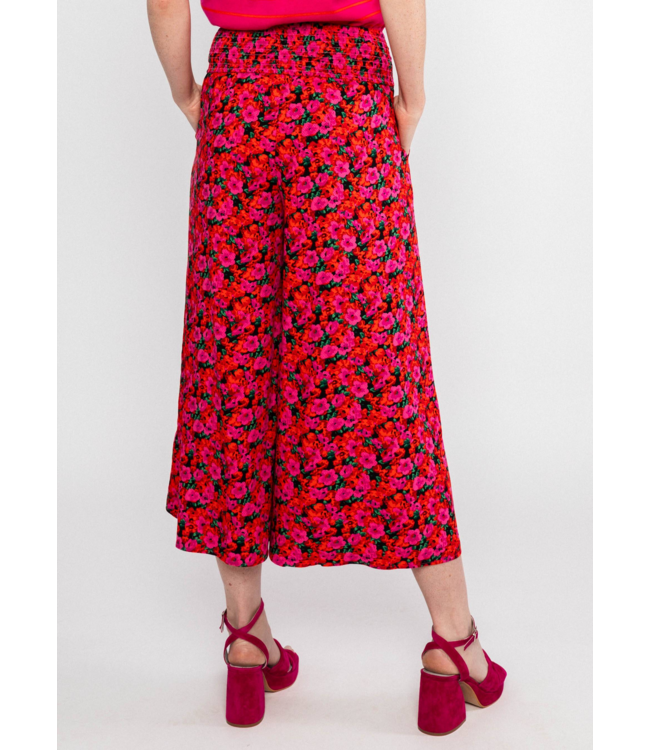 In full bloom - Bed of primroses