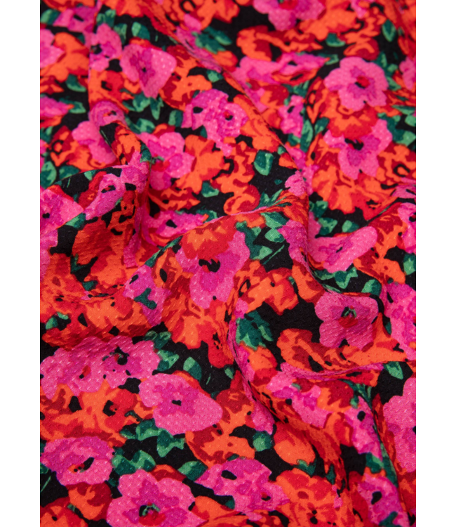 In full bloom - Bed of primroses