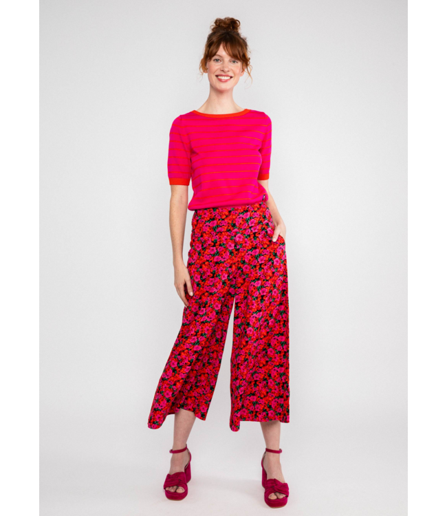 In full bloom - Bed of primroses