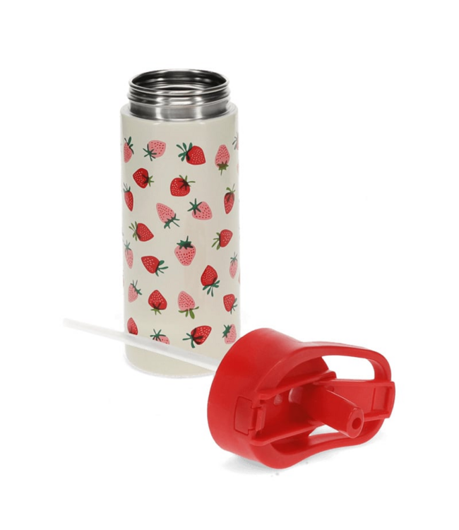 Stainless Steel Bottle with Push Button Lid - Little Strawberry