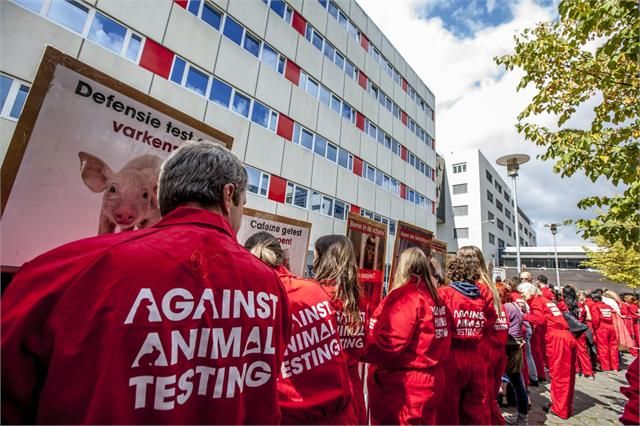 Protest in Den Haag