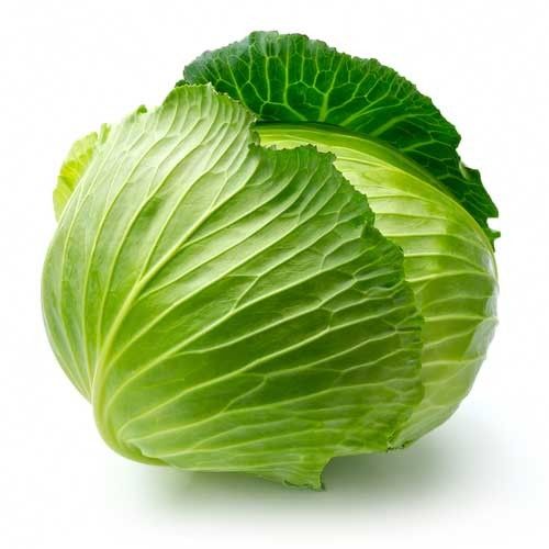 Brand 4 cabbage