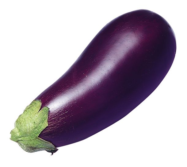 Eggplant