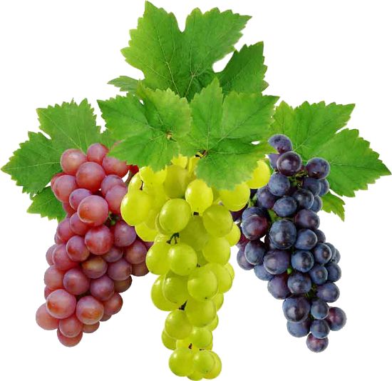 Grape