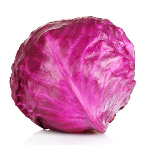 Brand 4 cabbage