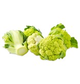 Brand 3 Cauliflower