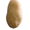 potato