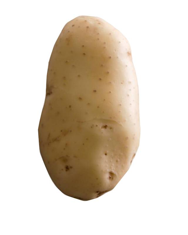 potato