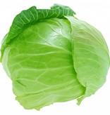 Brand 4 cabbage