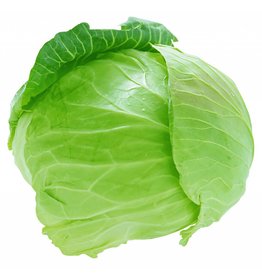 Brand 4 cabbage