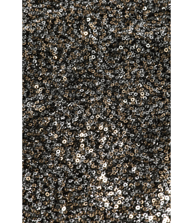 Scotch & Soda 175339 Pant in mixed sequins