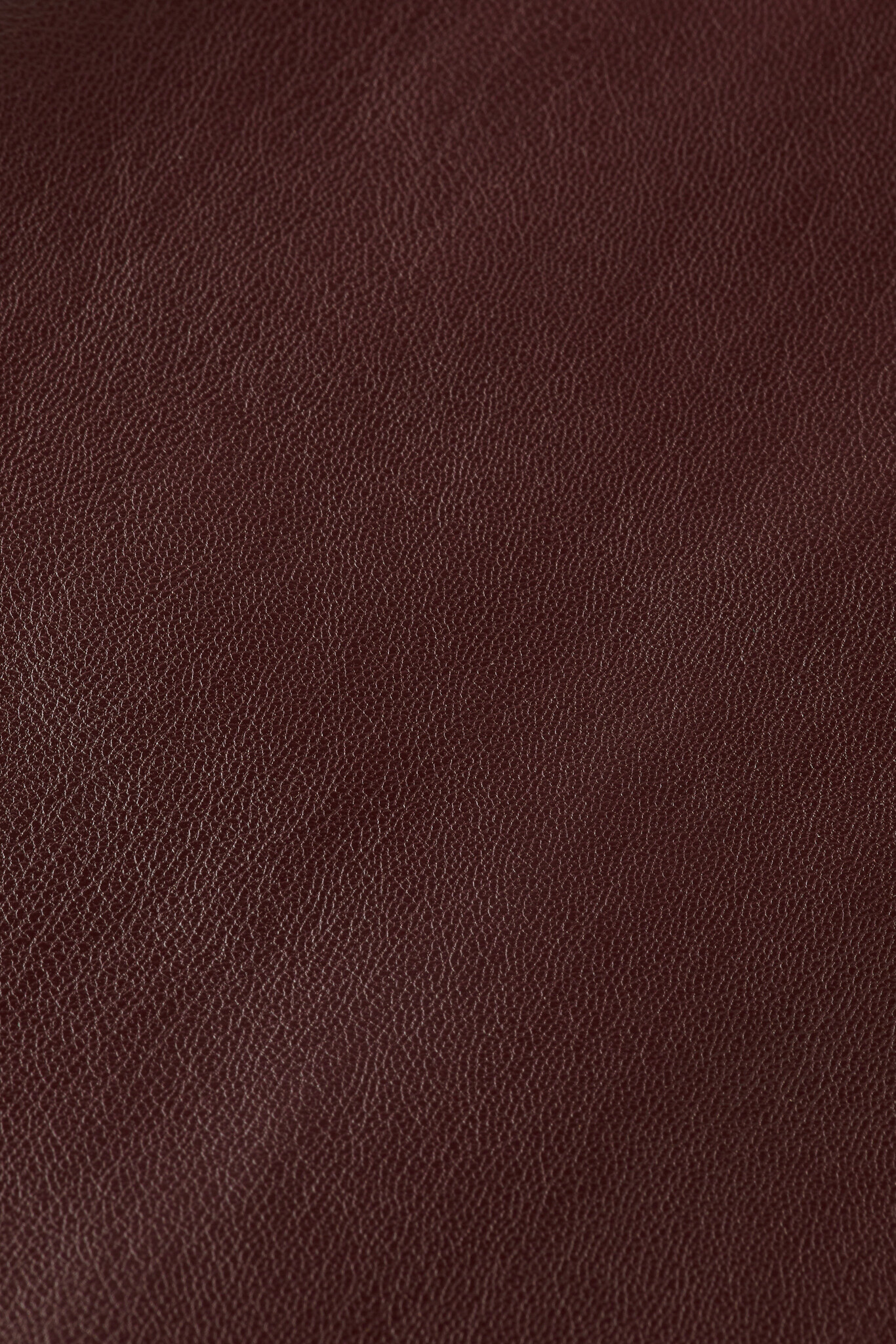 https://cdn.webshopapp.com/shops/223274/files/439643262/file.jpg