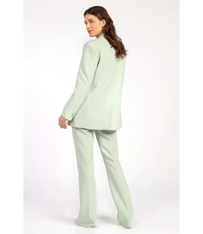 Aaiko HANNA Vis pants