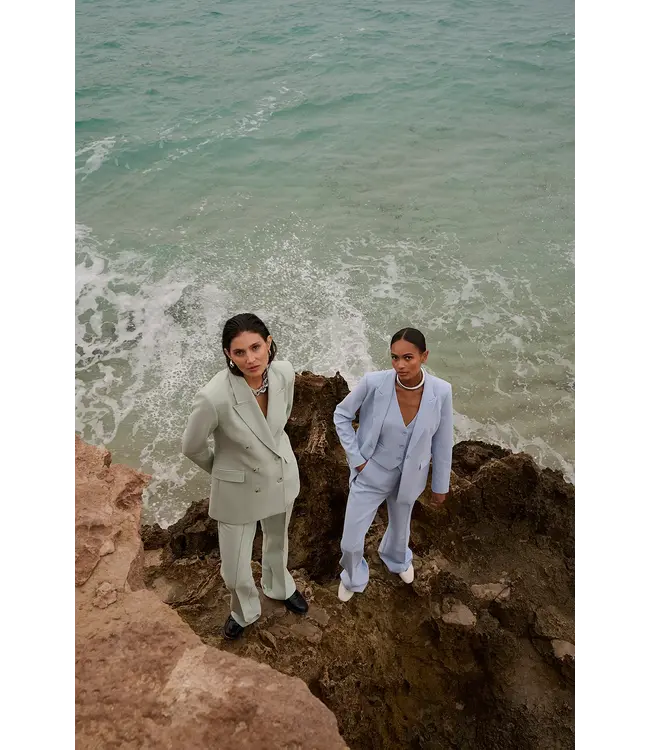 Aaiko HANNA Vis pants