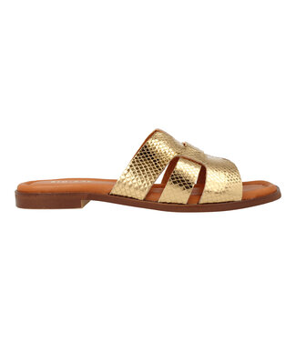 RED-RAG Slipper gold