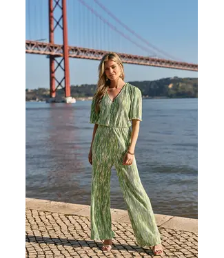 Freebird Birgen Plisse jumpsuit