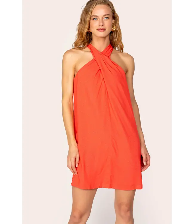 Freebird Renate dress
