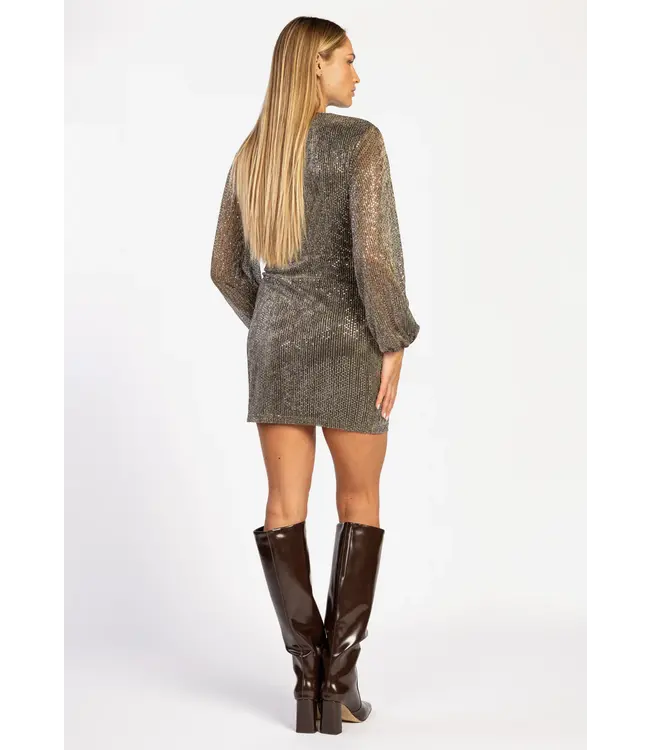 Aaiko GWEN MESH dress