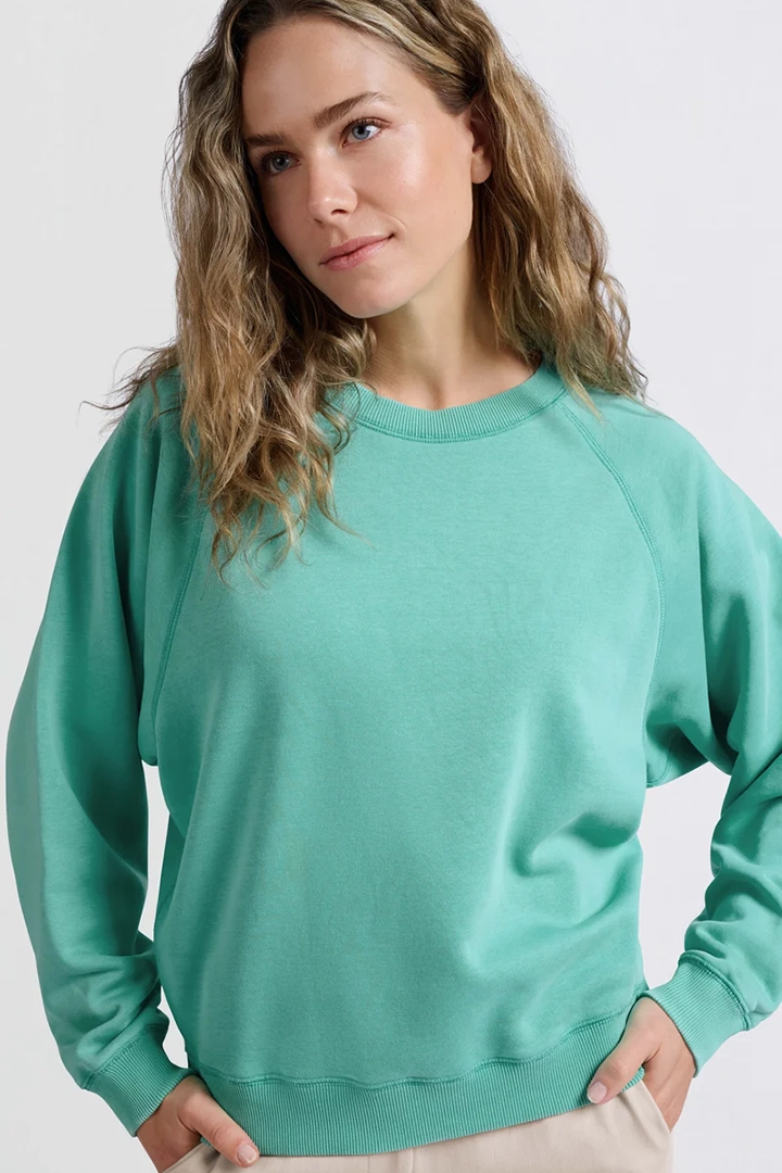 https://cdn.webshopapp.com/shops/223274/files/470764176/file.jpg