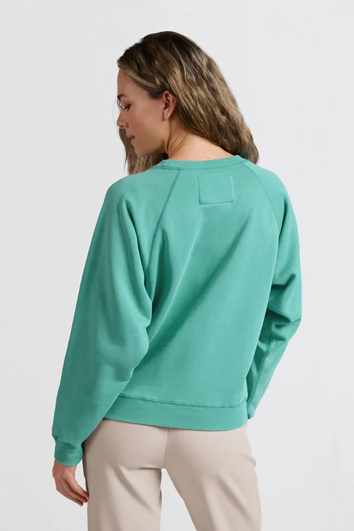 https://cdn.webshopapp.com/shops/223274/files/470764177/file.jpg