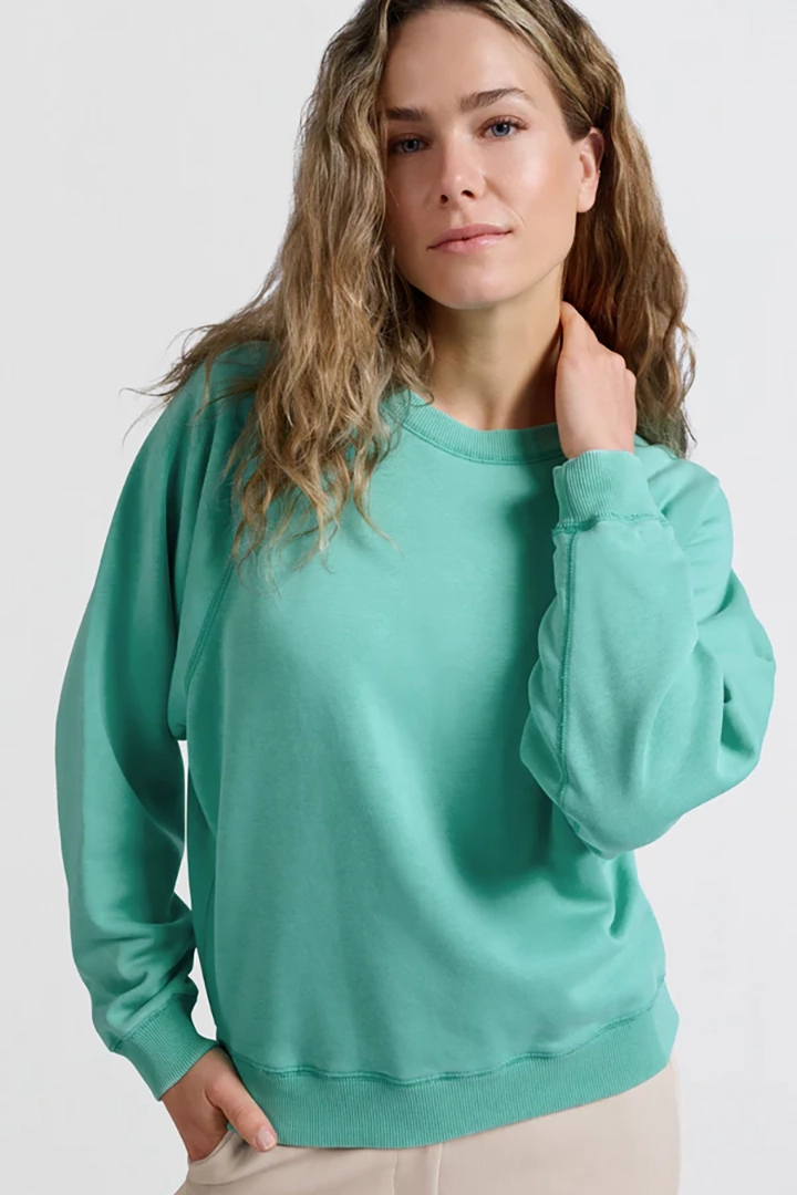 https://cdn.webshopapp.com/shops/223274/files/470764179/file.jpg