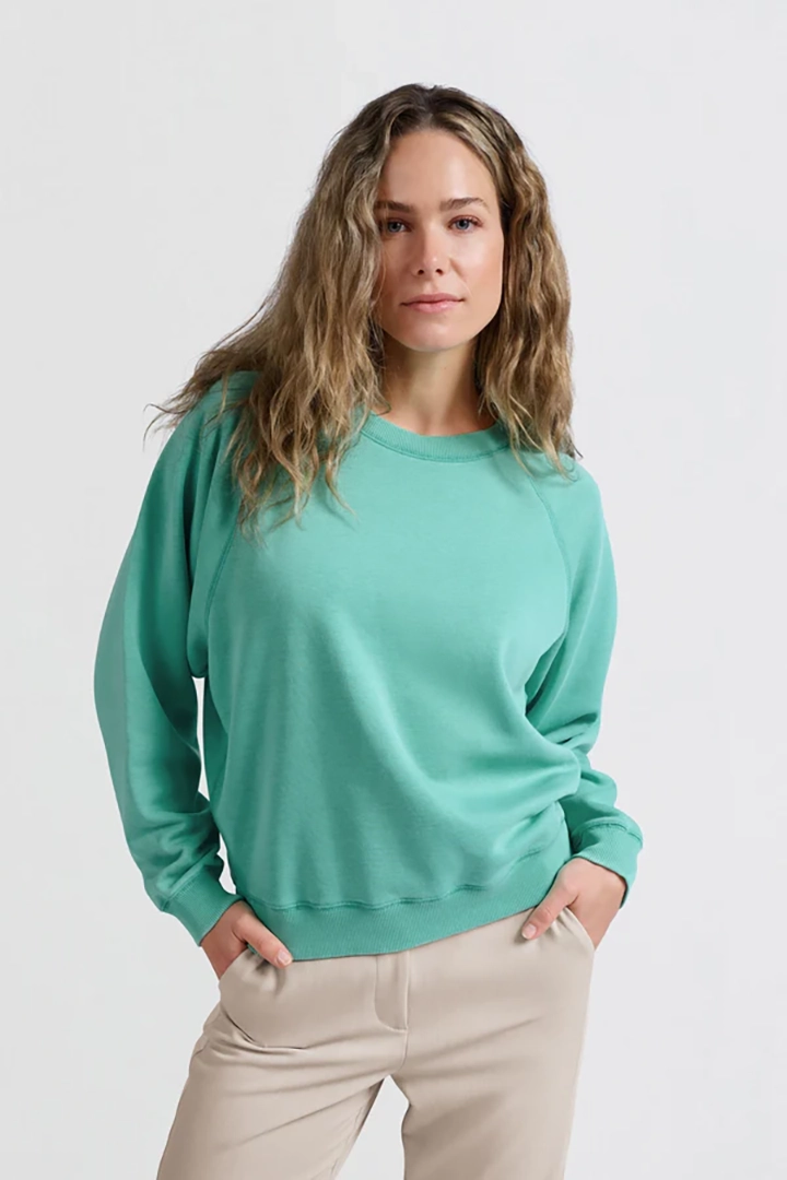 https://cdn.webshopapp.com/shops/223274/files/470764180/file.jpg