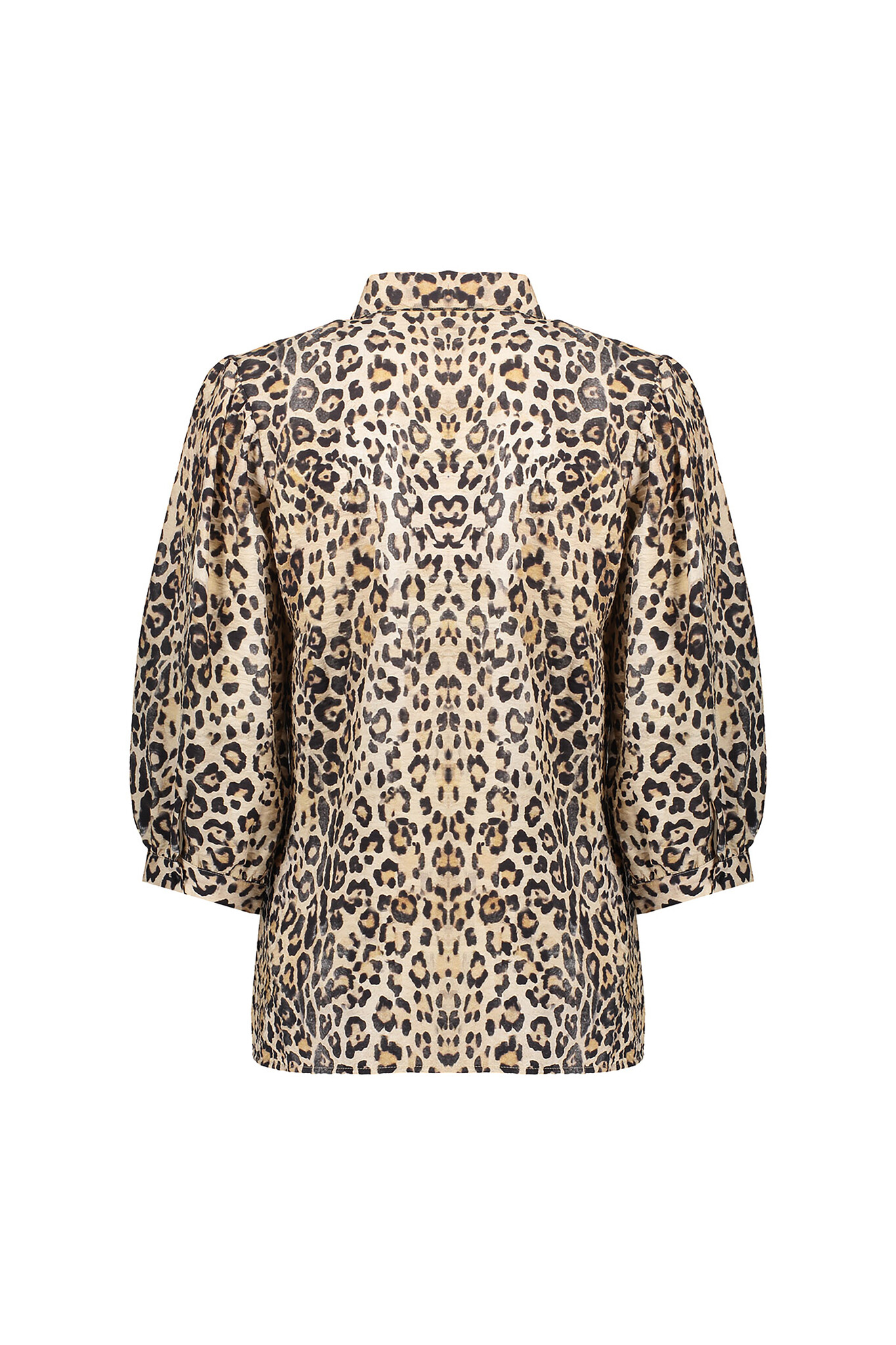 https://cdn.webshopapp.com/shops/223274/files/473986331/file.jpg