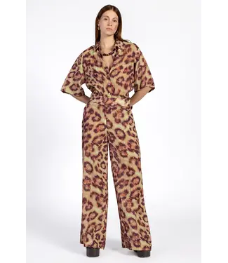 Aaiko GIANI TIGER TROUSERS