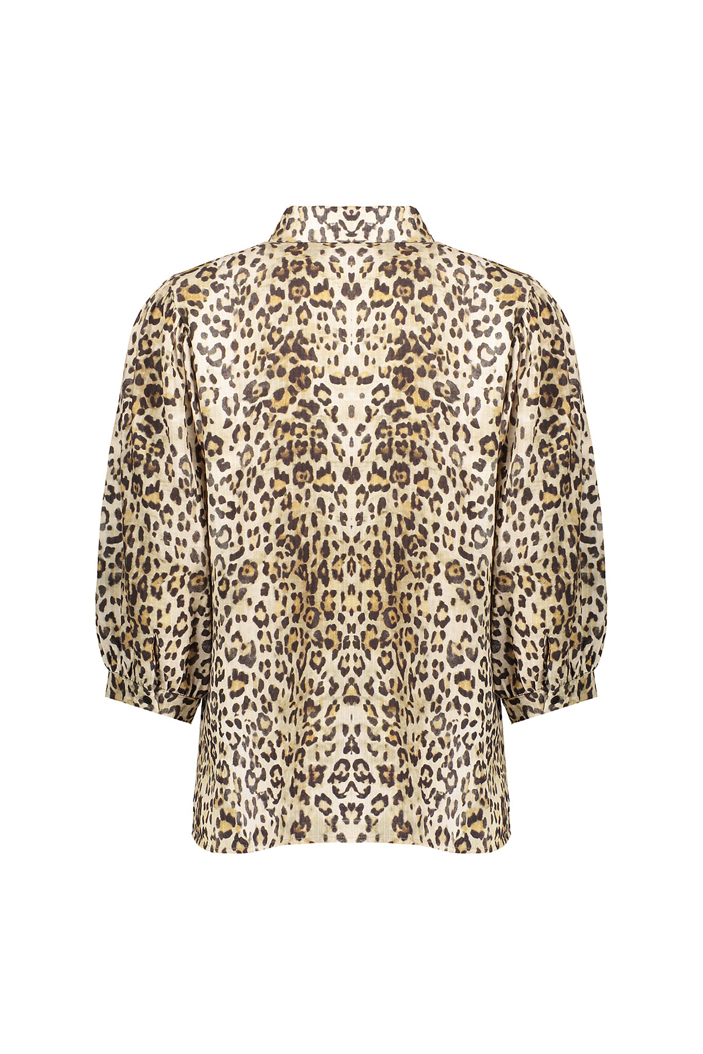 https://cdn.webshopapp.com/shops/223274/files/475850918/file.jpg