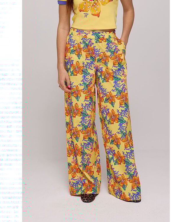 Harper & Yve RILEY broek