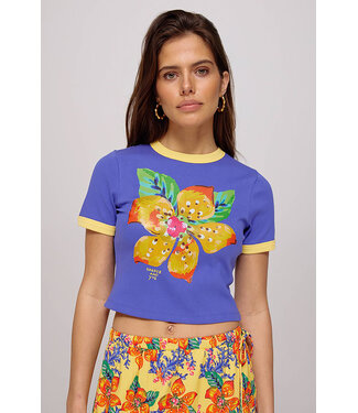 Harper & Yve EMMY top