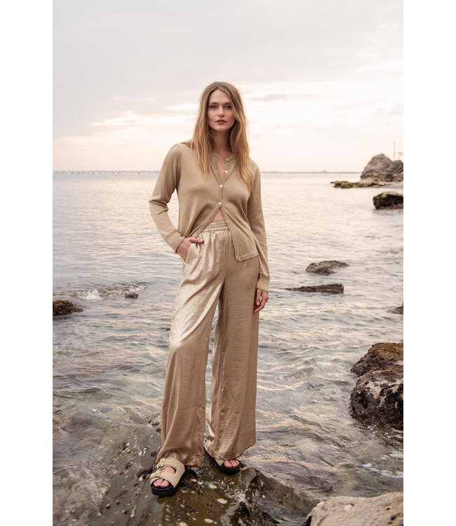 Summum Woman 4s2550-12114 Pants Metallic Lamee