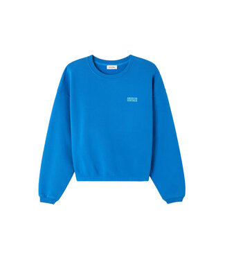 American Vintage Izubird sweater